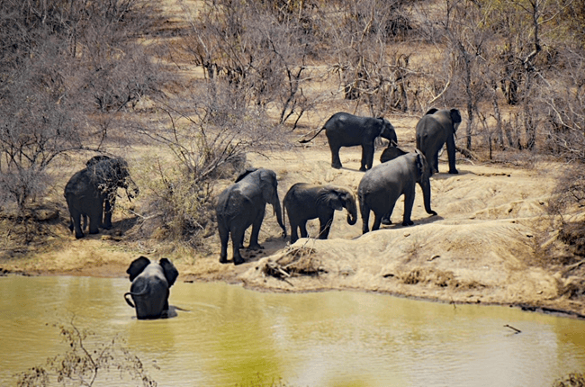 West Africa Tours